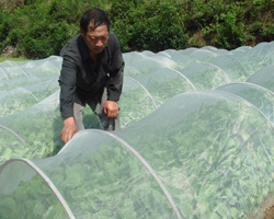 供应防虫网